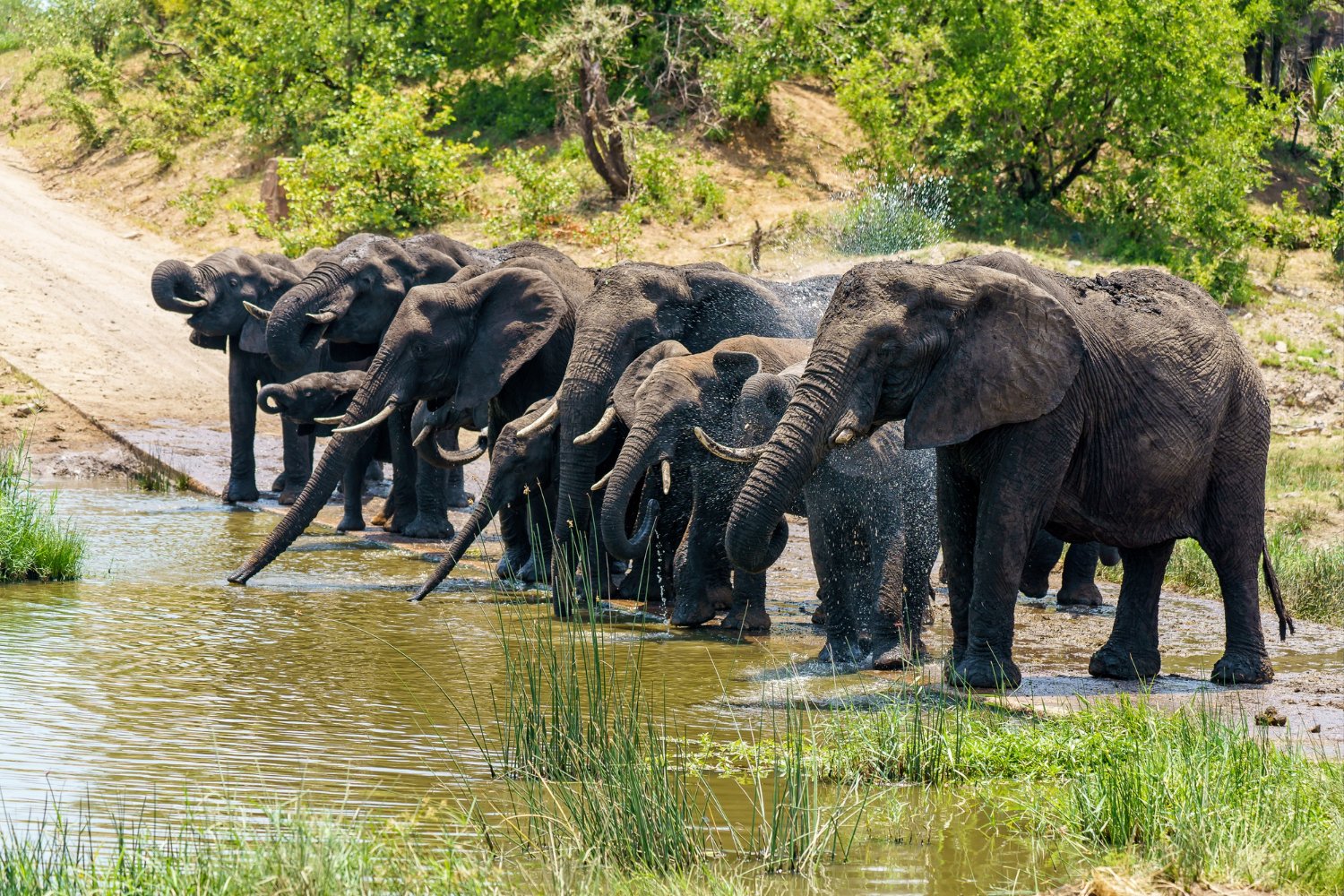 Example South Africa safari journey